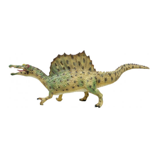 Dinosaur Wonders, Spinosaurus & Stegosaurus