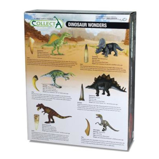 Dinosaur Wonders, T-Rex & Velociraptor Boxed Set