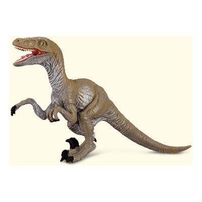 Dinosaur Wonders, T-Rex & Velociraptor Boxed Set