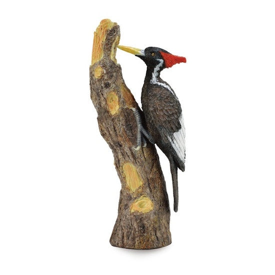 Ivory-Billed Woodpecker Figurine L