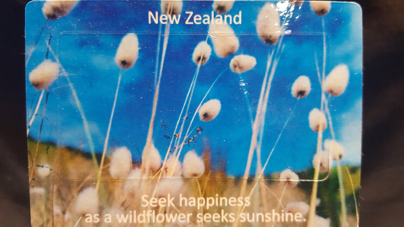 NZ Grass Wildflower Fridge Magnets