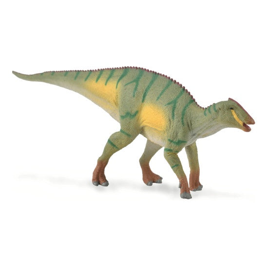 Kamuysaurus M