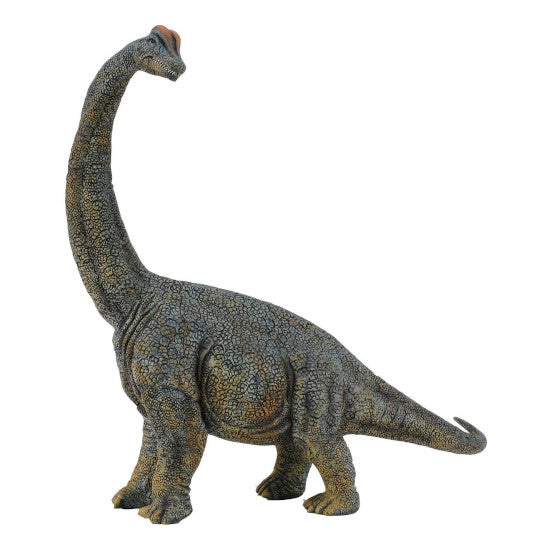 BRACHIOSAURUS (DLX) Dino Rep