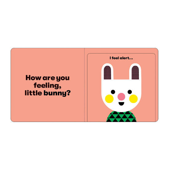 How are you Feeling Board Book