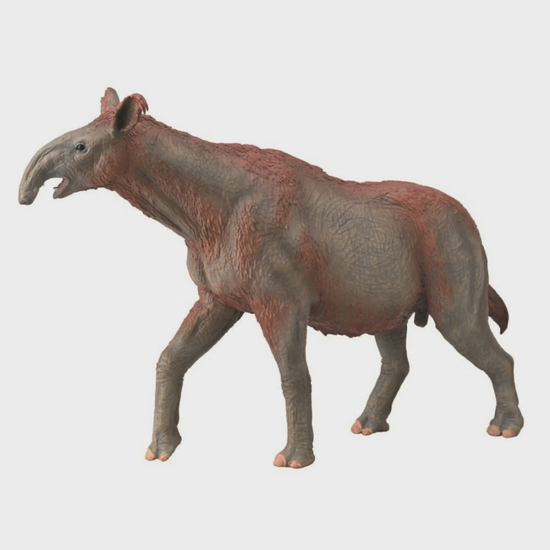 Paraceratherium DXL
