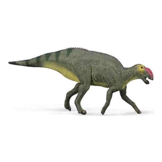Hadrosaurus M