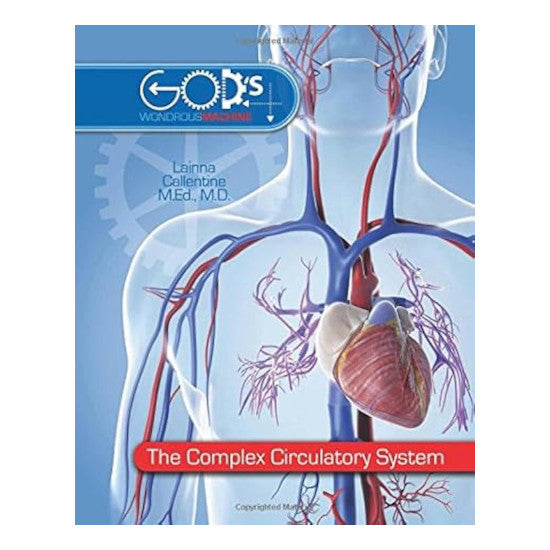 Bk:The Complex Circulatory System