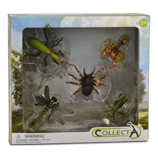 Insects Boxed Set, 5pcs