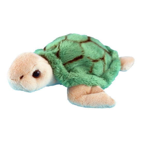 Wild Mini Green Turtle