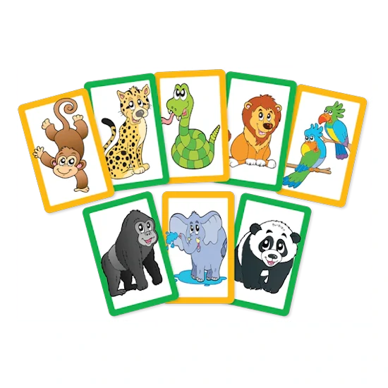 Snap & Pairs Cards: Zoo
