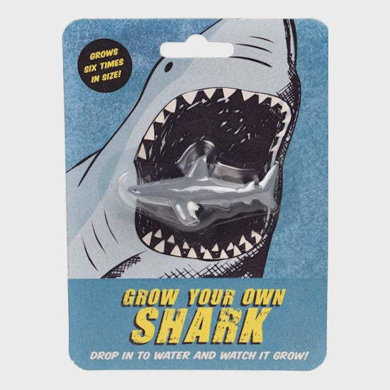 Grow Your Own Shark
