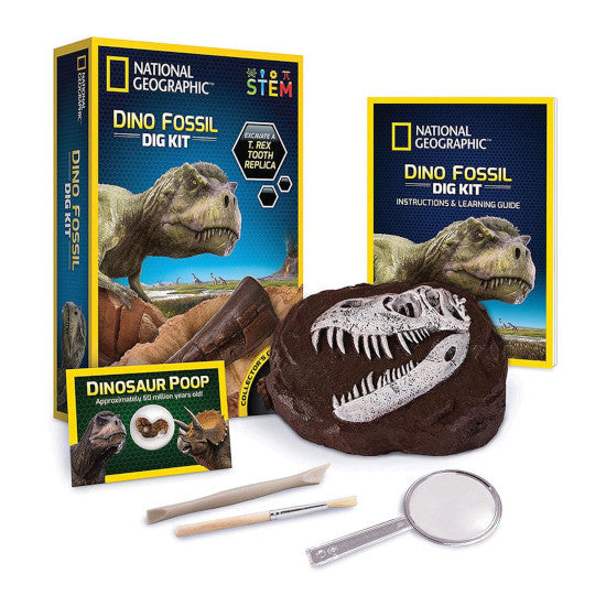 NG-Dino Dig Kit