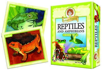 Prof Noggin:Reptiles and Amphibians