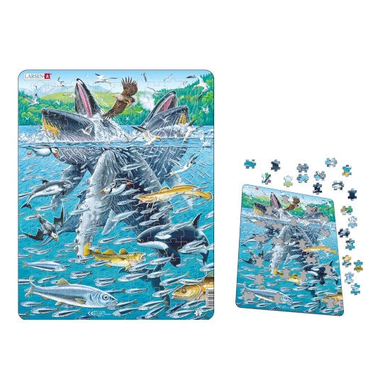 Humpback Whales Puzzle