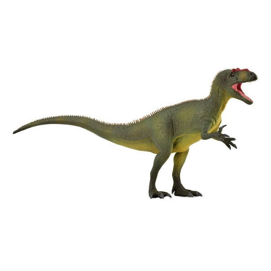 Allosaurus L