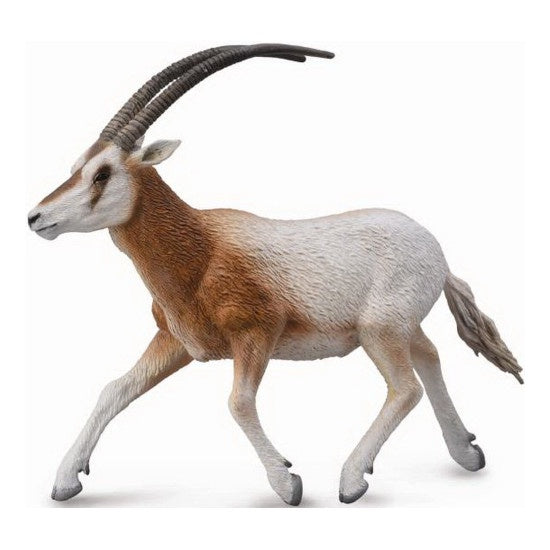 Scimitar Horned Oryx L