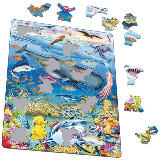 South Pacific Marine Life Puzzle