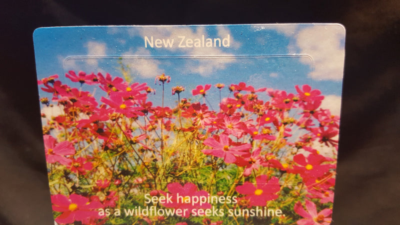 NZ Pink Wildflower Fridge Magnets