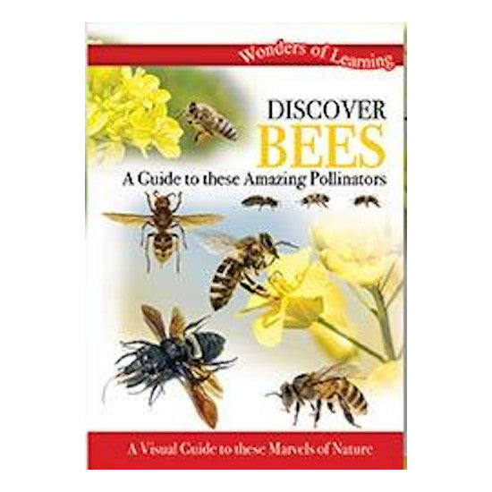 Discover Bees Tin Set