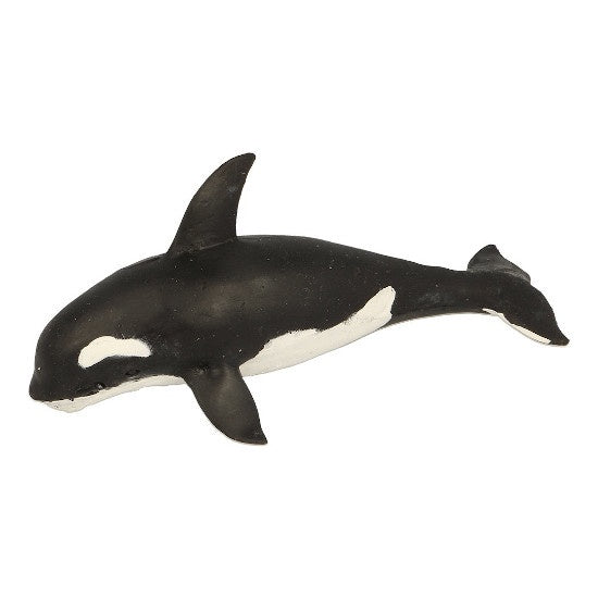 Orca Stretchy Beanie