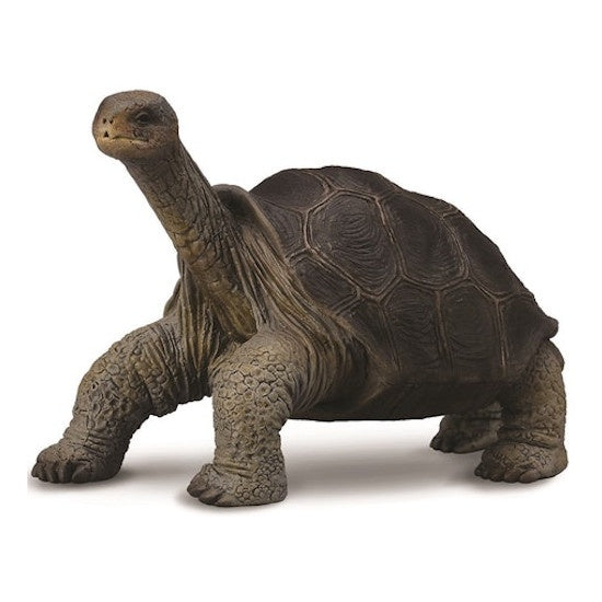 Pinta Island Tortoise George Figurine M