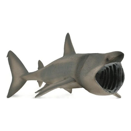 Basking Shark XL