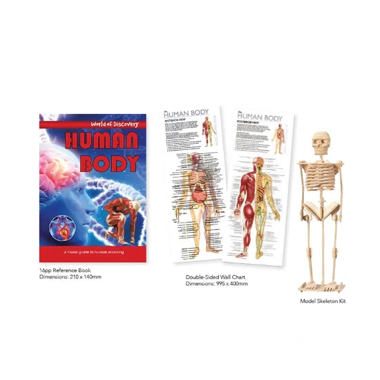 World of Discovery: Human Body
