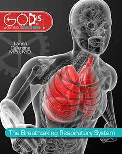 Bk:The Breathtaking Respiratory System