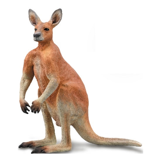 Red Kangaroo L