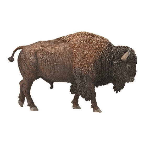 American Bison XL