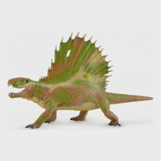 Dimetrodon with movable jaw