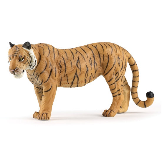 Large Tigress