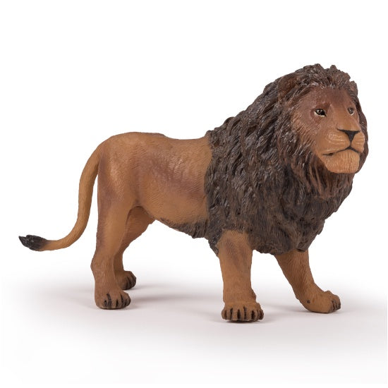 Large Lion