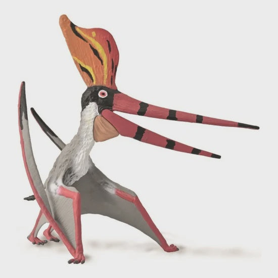 Pteranodon Sternbergi XL