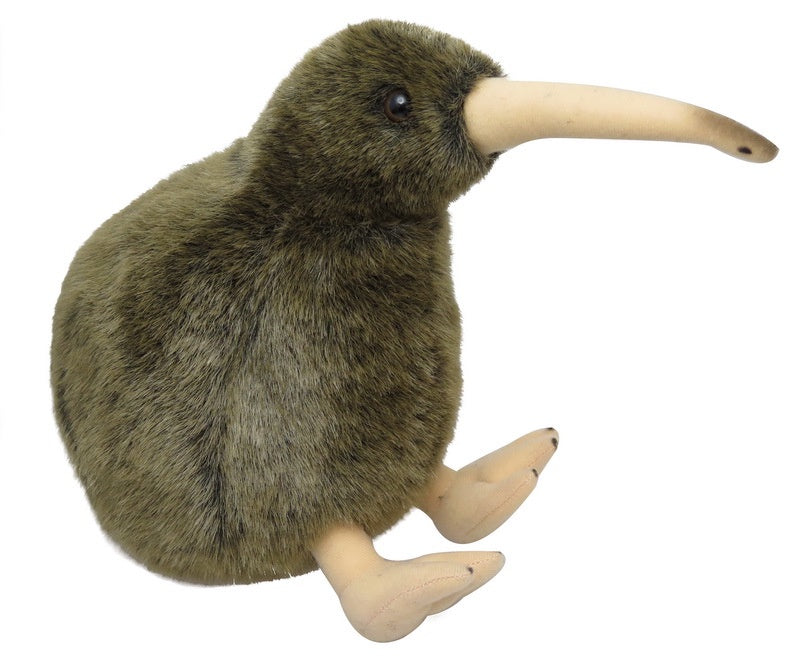 NZ Bird Kiwi XL