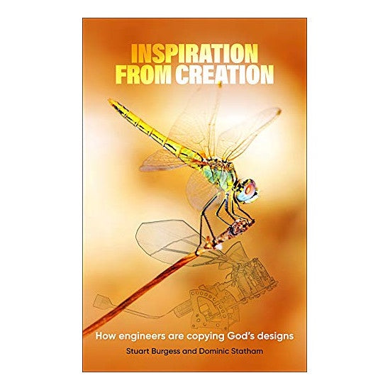 Bk: Inspiration from Creation