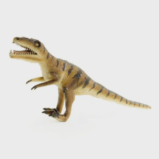 Velociraptor Large